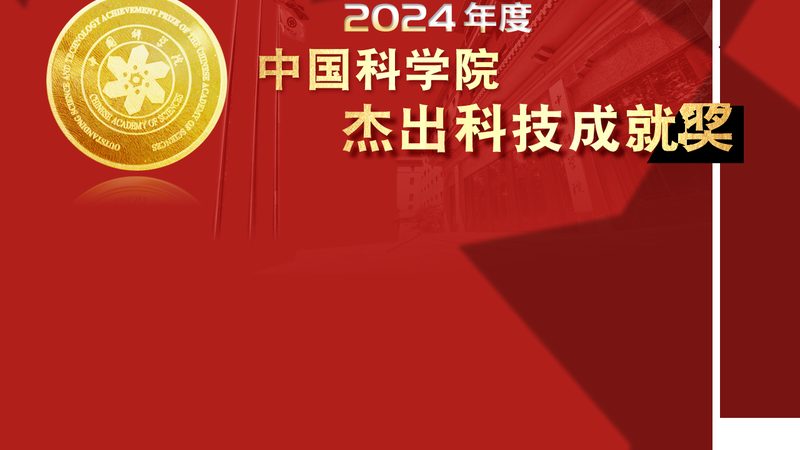 轻量级数据中台开源框架：构建高效数据处理的基石